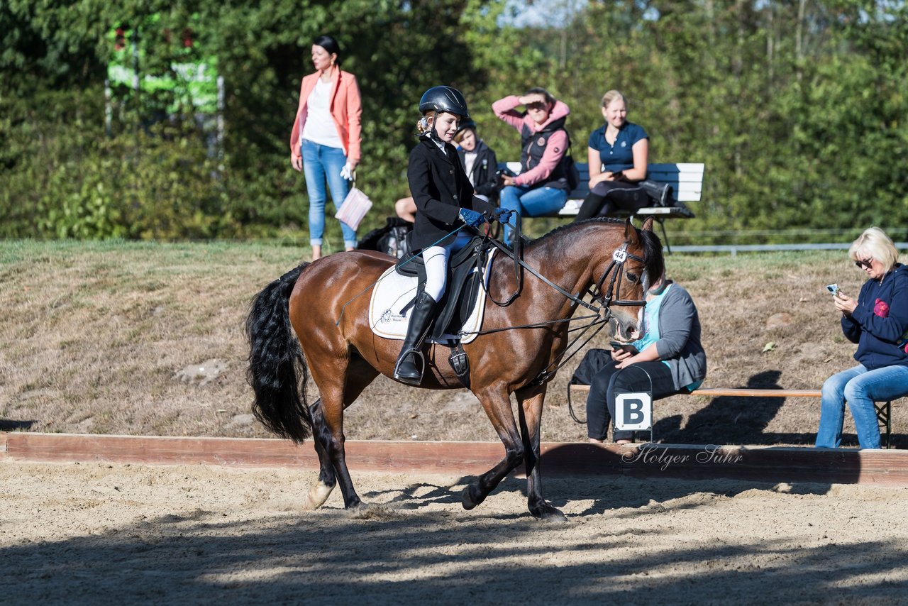 Bild 88 - Pony Akademie Turnier